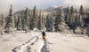 idée cadeau Quatre Natures Nordic skiing at Jacques-Cartier National Park